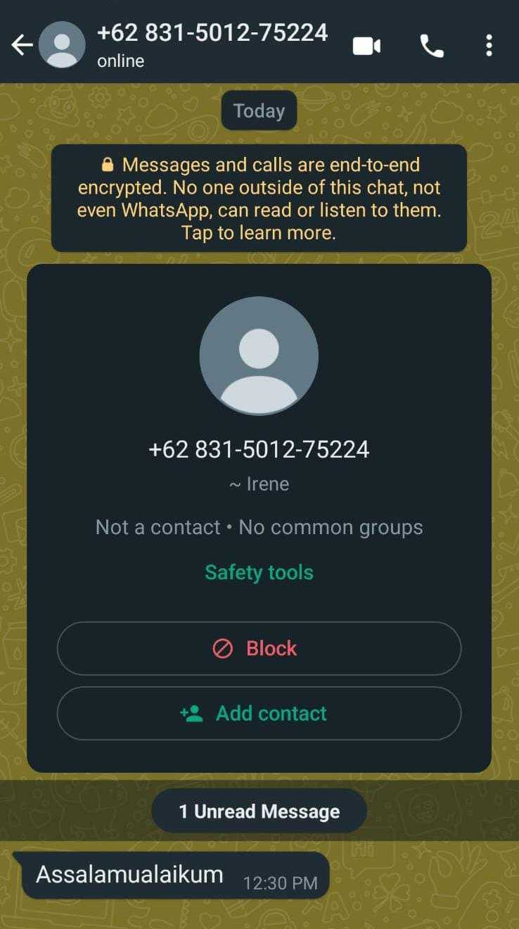 Hati-hati Modus Penipuan Baru Whatsapp, Jangan Asal Klik Gambar Action Block Pada Pesan WA