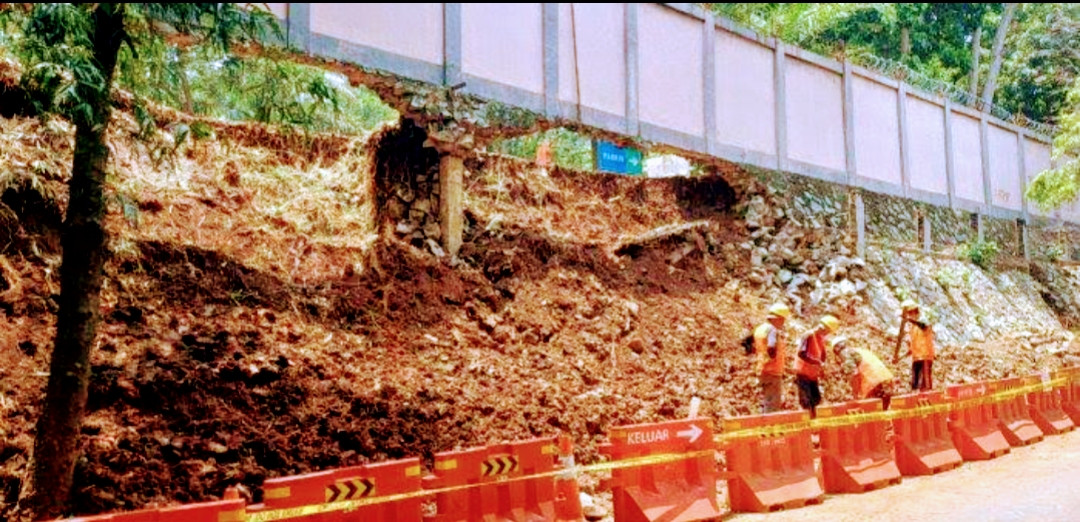 Akibat Hujan Deras, Turap Pembatas Dinding Taman Margasatwa Ragunan longsor