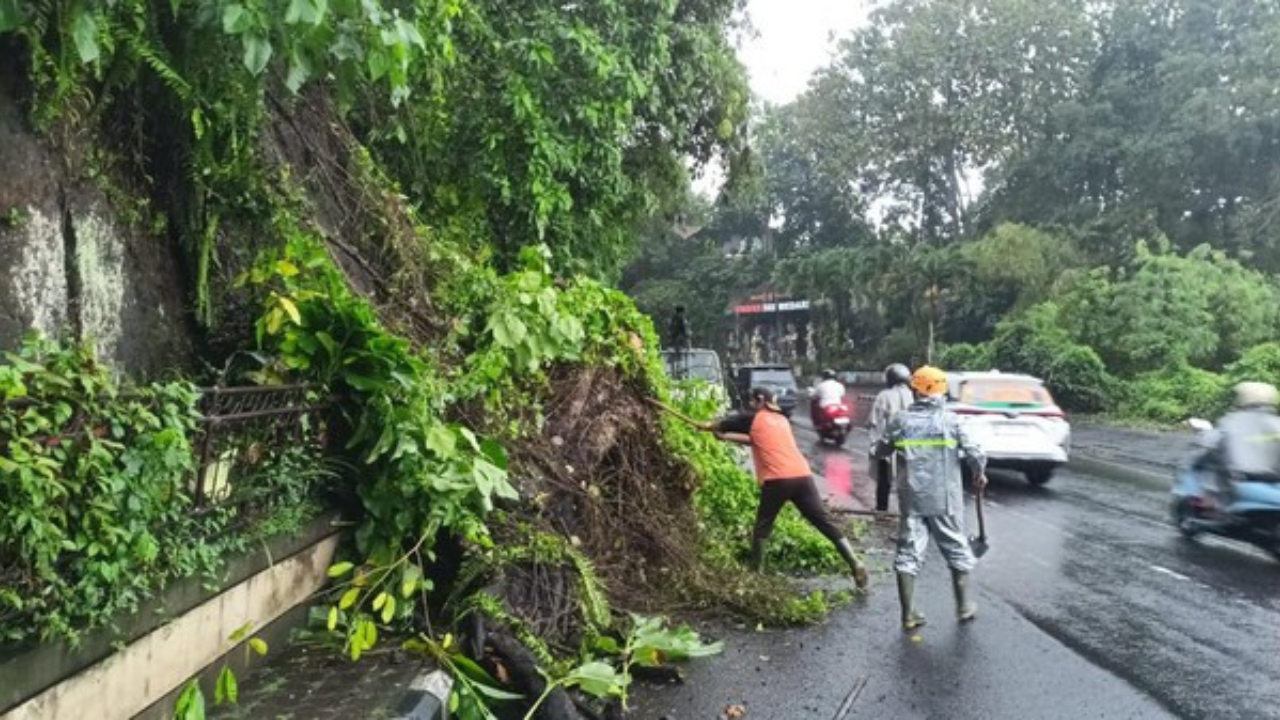 Hujan Deras, Tanah Longsor-Pohon Tumbang Terjadi di Tabanan  