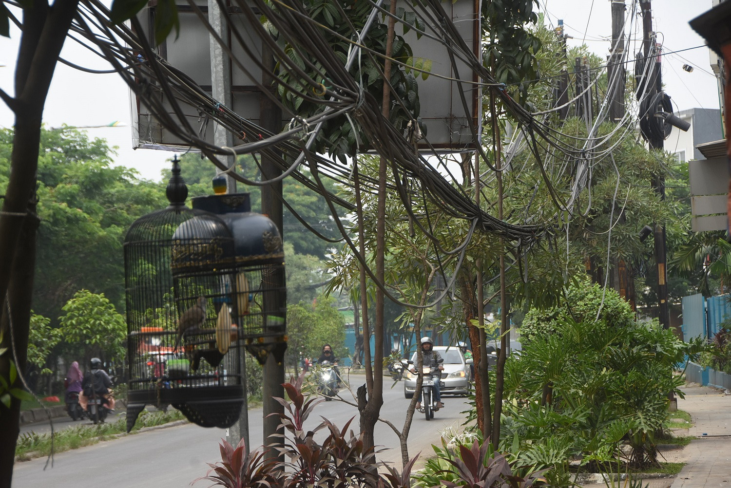 Semrawut Perkabelan di Bekasi Mengganggu Estetika Kota Juga Membahayakan Keselamatan Warga