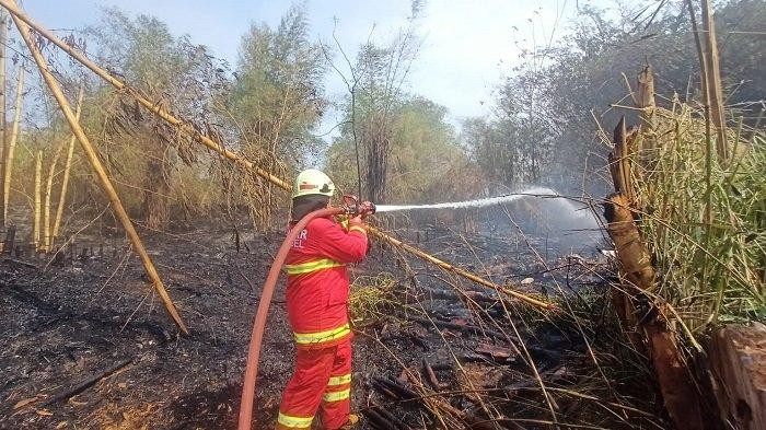 Diduga Akibat Membakar Sampah, Lahan Seluas 3.000 M di Serpong Hangus Terbakar