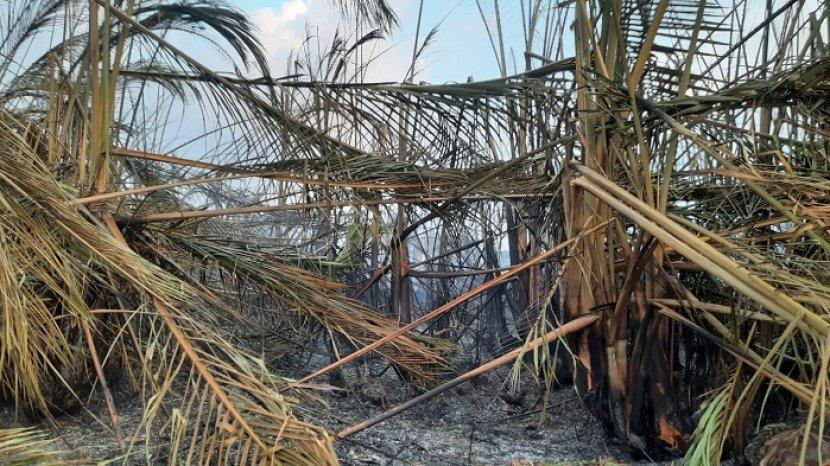Lahan Kosong Seluas 8 Hektar di Kabupaten Tangerang Hangus Terbakar