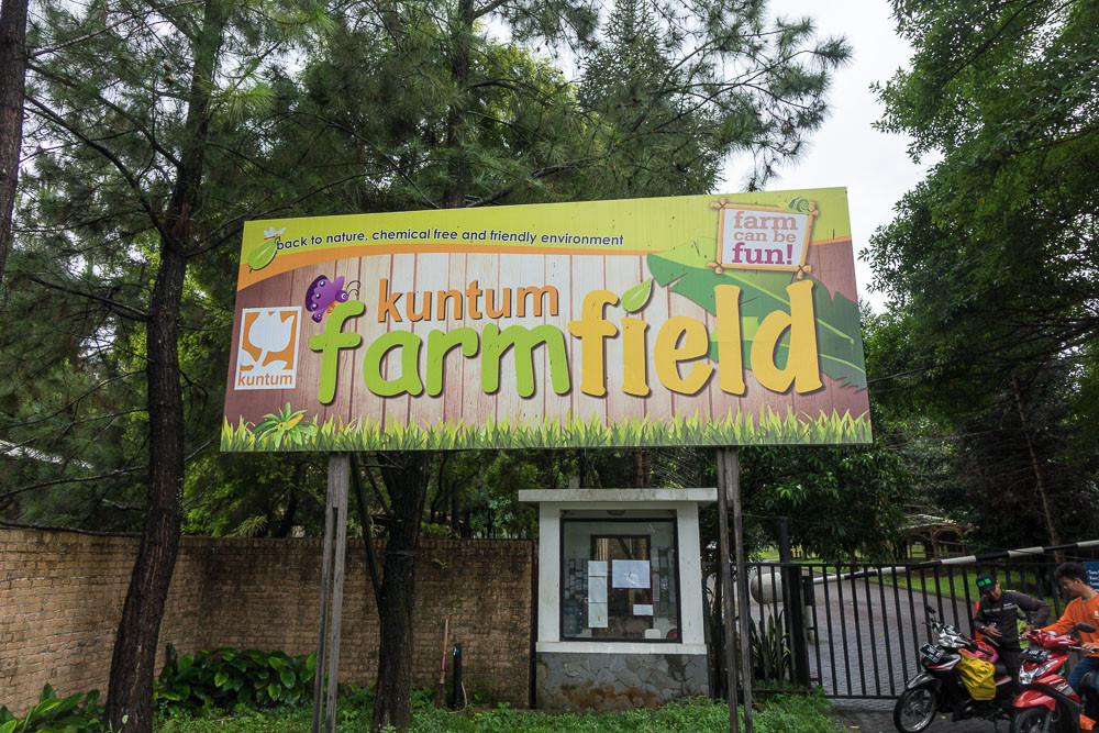 Agrowisata Kuntum Farmfield