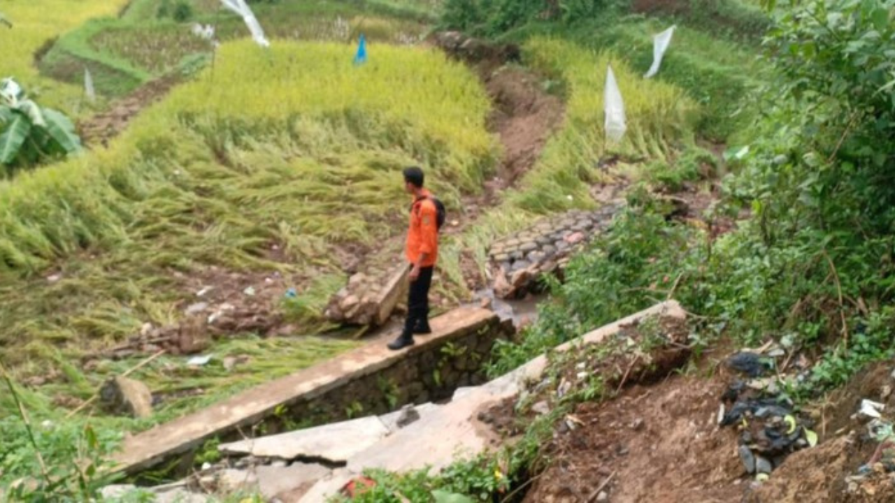 Sawah Irigasi Warga Rusak Akibat Tembok Penahan Tanah Di Cigombong Longsor
