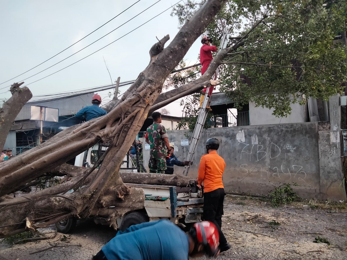Sebuh Pohon Tumbang Jatuh Menimpa Sebuah Moibil di Jl.Raya Rawailat Kabupaten Bogor