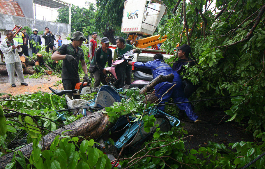 Akibat Hujan Deras, Pohon Tubang di Jalan Artzimar 2, Rt.05/Rw.01, Bogor Utara-Bogor